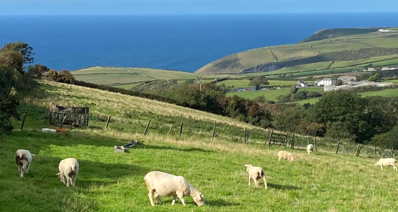 Polrunny Farm Sloe Cottage With A Sea View 博斯卡斯尔 外观 照片