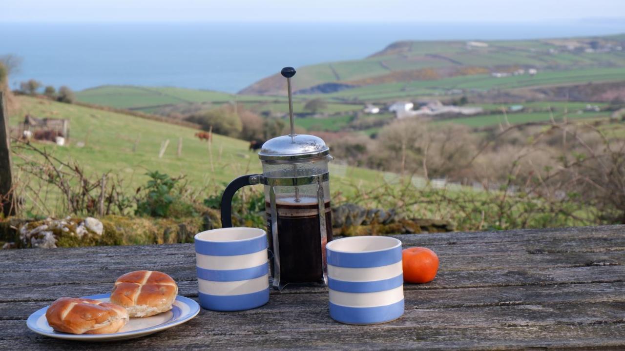 Polrunny Farm Sloe Cottage With A Sea View 博斯卡斯尔 外观 照片