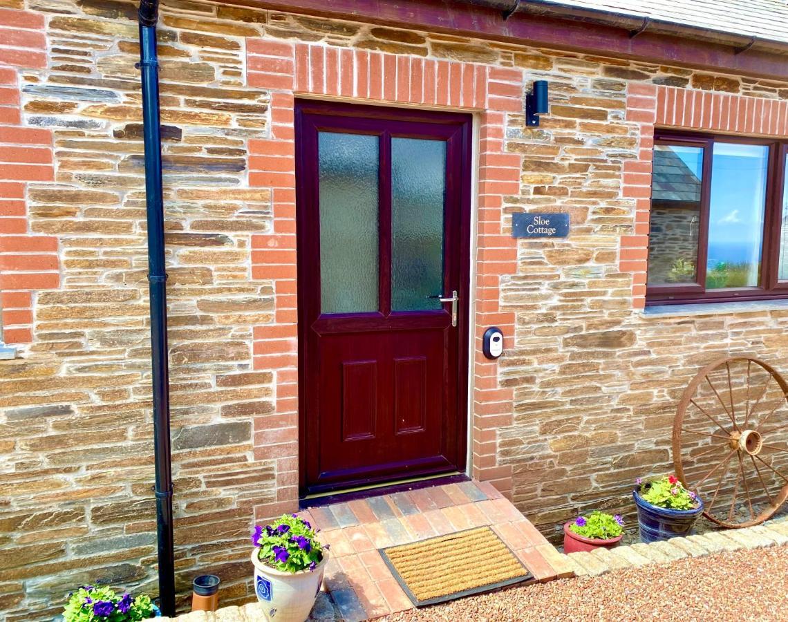 Polrunny Farm Sloe Cottage With A Sea View 博斯卡斯尔 外观 照片