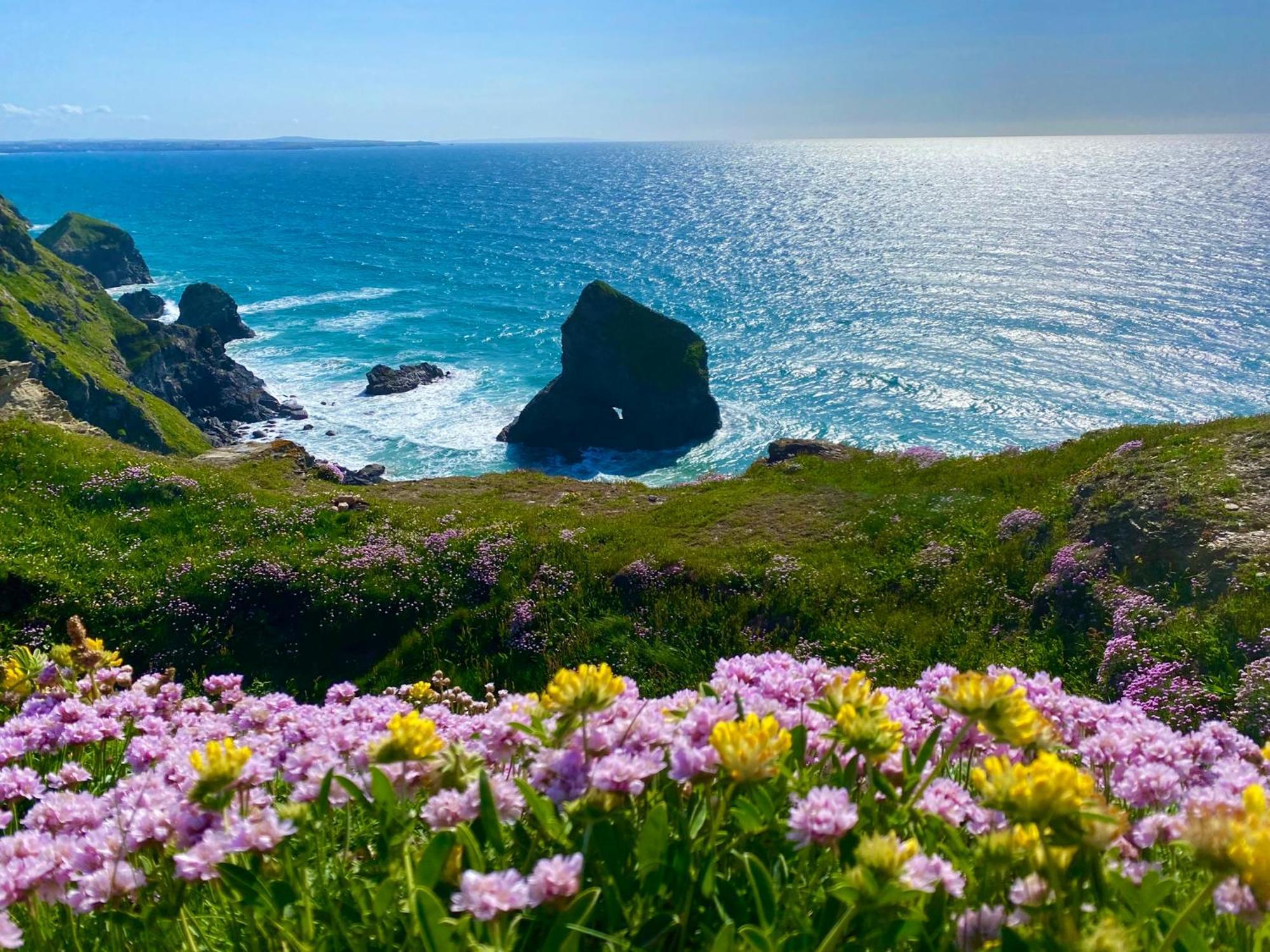 Polrunny Farm Sloe Cottage With A Sea View 博斯卡斯尔 外观 照片